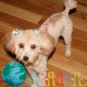 Meet your Posher, Renee